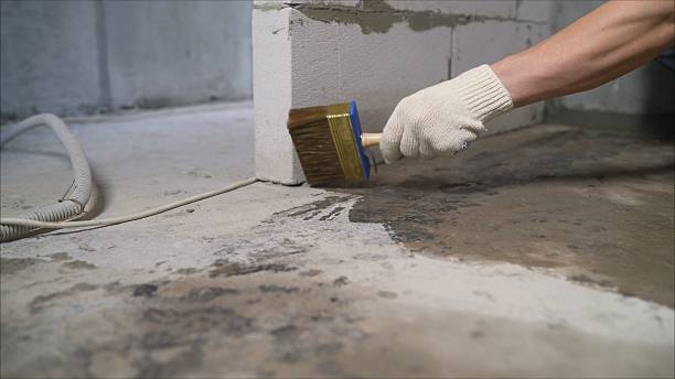 24/7 Emergency Interior Drainage System experts in Westville, IL